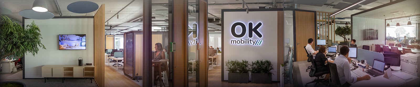 OK Group surpasses €500M in turnover and reaches 18 countries